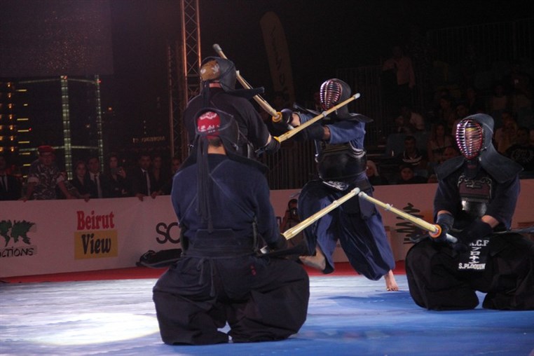 Martial Arts Festival